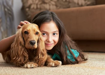 Pet Odor Control and Stain Removal